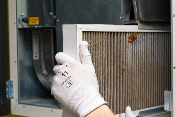 Best Affordable Duct Cleaning Services  in Youngtown, AZ