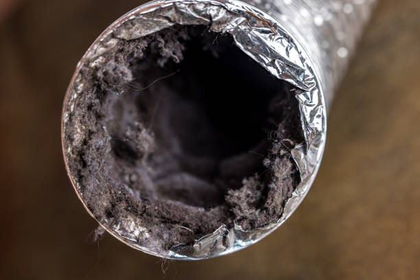 Best Commercial Air Duct Cleaning  in Youngtown, AZ